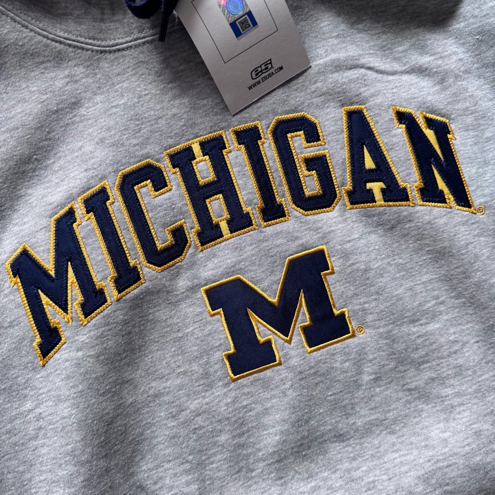 NWT Michigan Wolverines Men’s Hoodie Size Large Grey - Picture 2 of 6